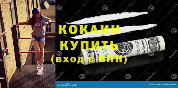 дживик Аркадак