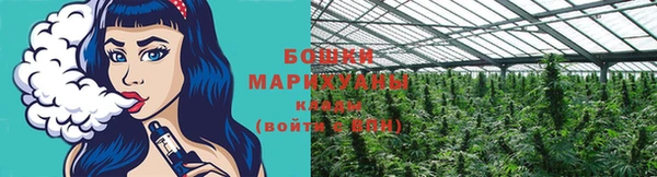дживик Аркадак